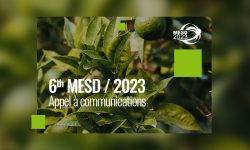 Appel à communications 6ème Conférence MESD