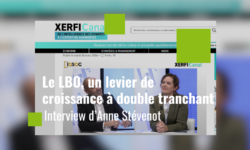 « Le LBO, un levier de croissance à double tranchant » – Interview d’Anne Stévenot