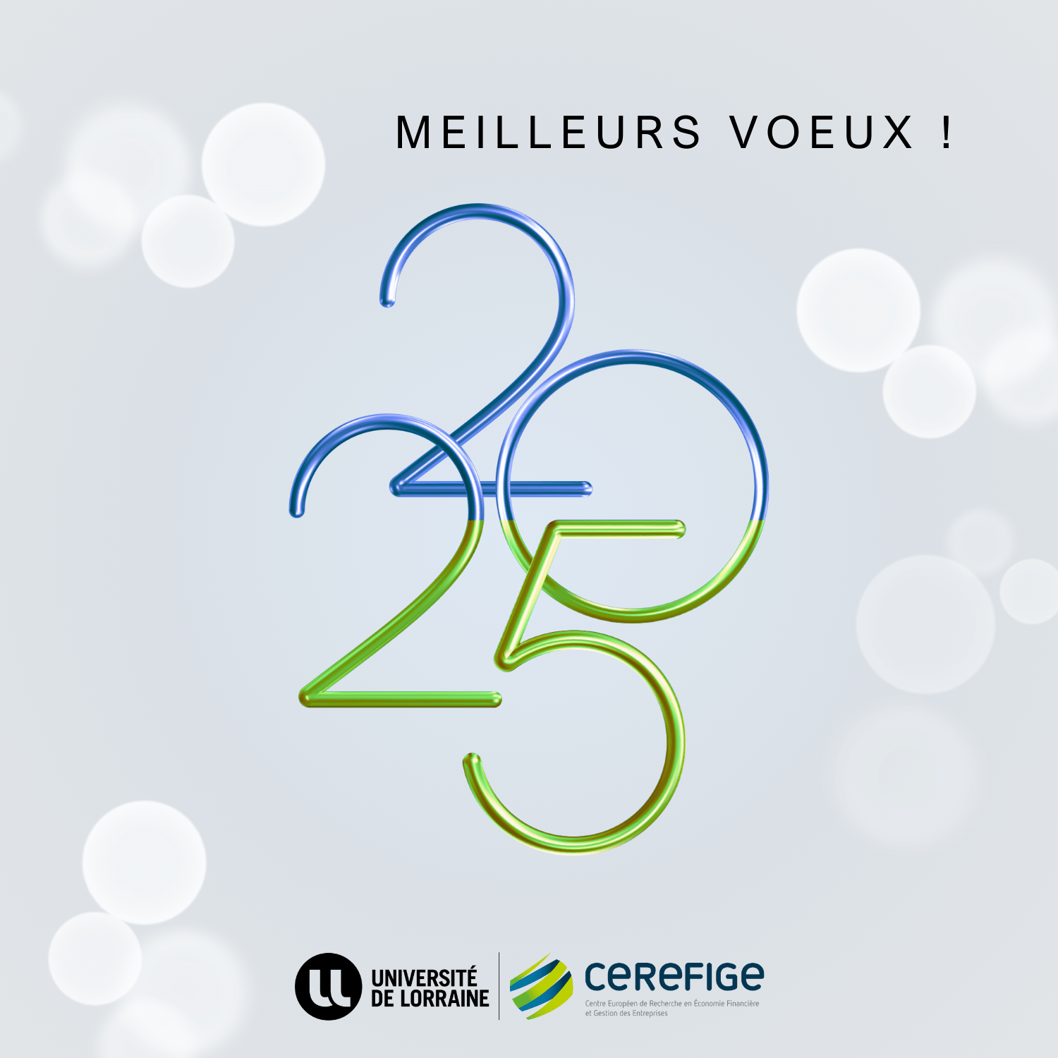 You are currently viewing Le CEREFIGE vous souhaite une belle et heureuse année 2025 !