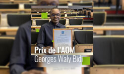 Georges Waly Bidi reçoit le Benedictine University Scholar-Practitioner Collaboration Award